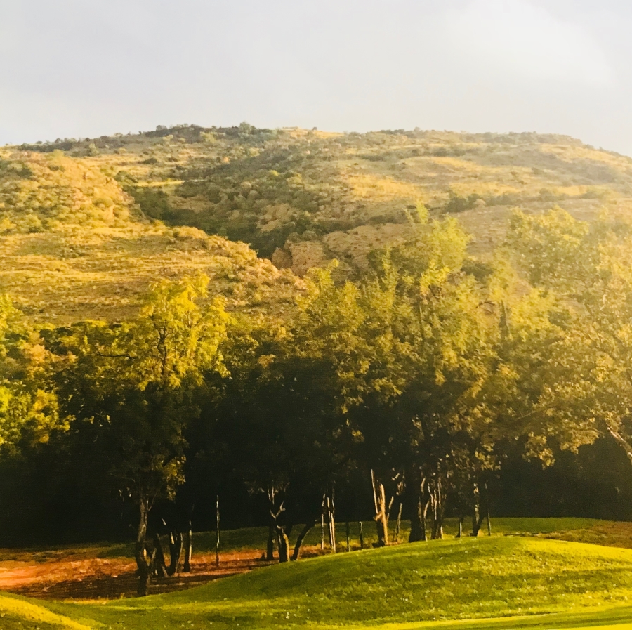 0 Bedroom Property for Sale in Wigwam North West